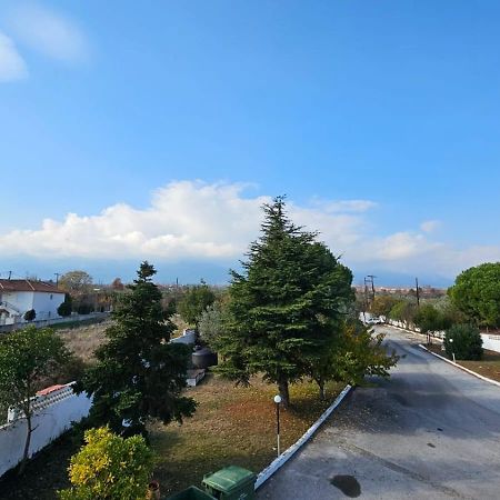 Great Alexander Hotel Litóchoron Dış mekan fotoğraf